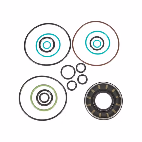 Mini motore per macchine edili Pala gommata Cingolato da viaggio Pompa idraulica Parte Escavatore Kit di riparazione di ricambio Rexroth Komatsu Hyundai Kubota Kobelco